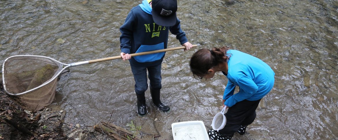 students catching crayfish at Claremont Field Centre