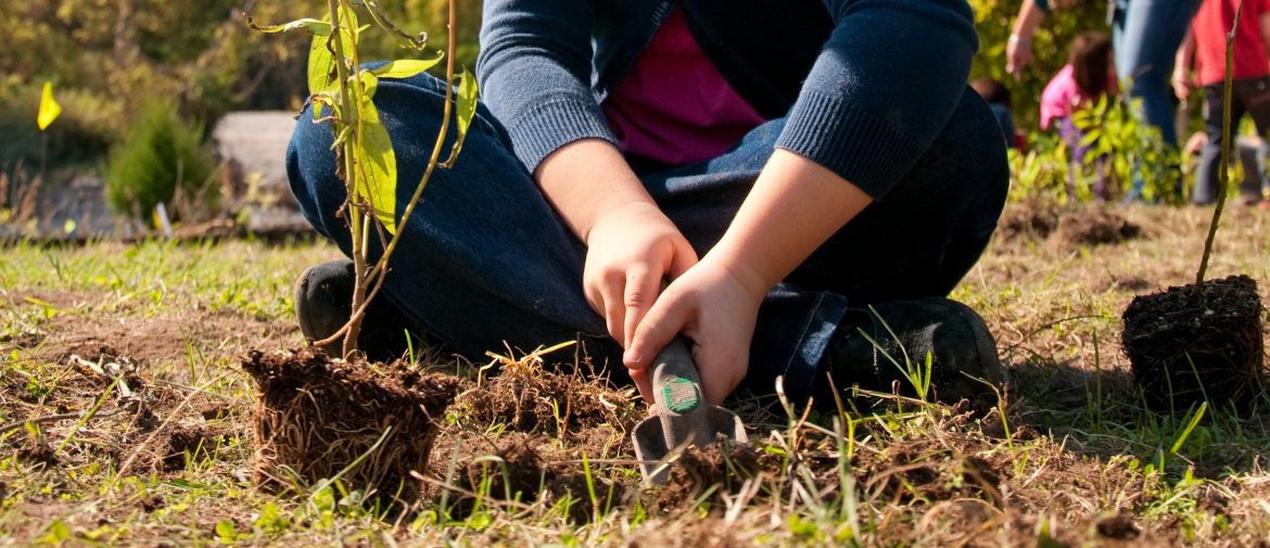 student participates in garden planting