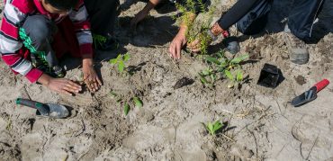 students take part in planting event