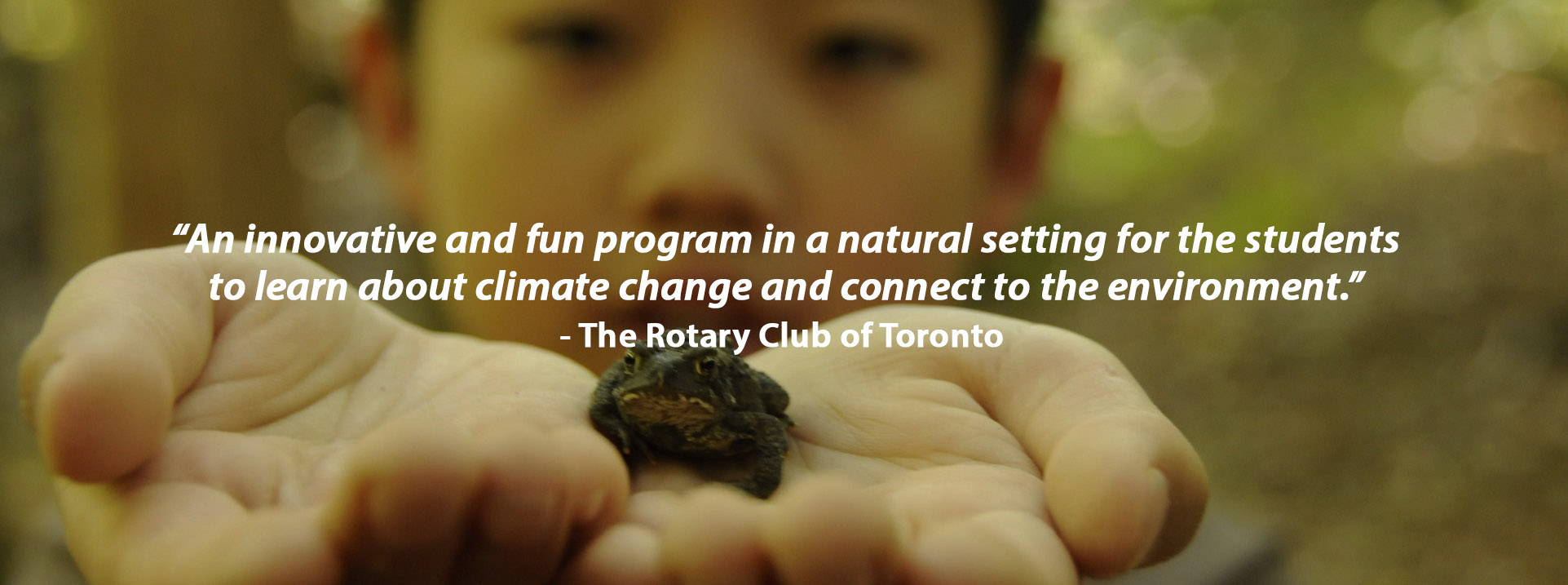 Young boy at Claremont Field Centre holding a frog